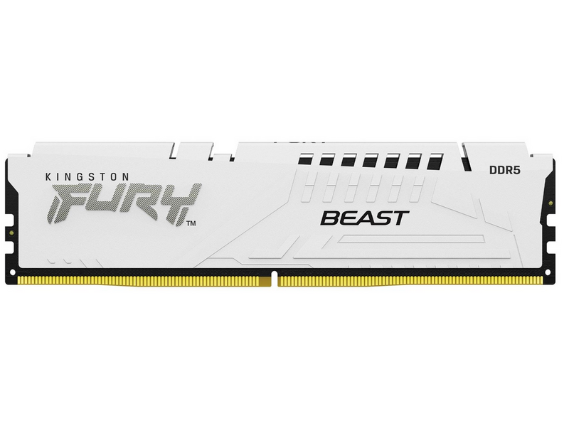 Kingston FURY Beast DDR5-6400 - 16GB - CL32 - Single Channel (1 pcs) - AMD EXPO