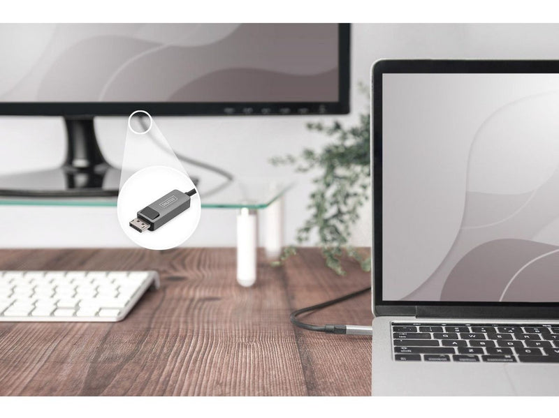 DIGITUS USB Type C to DisplayPort Cable - 2m