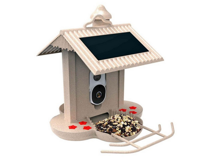 Bullboat HiBirds - WiFi Smart bird feeder 1080HD camera and AI bird recognition