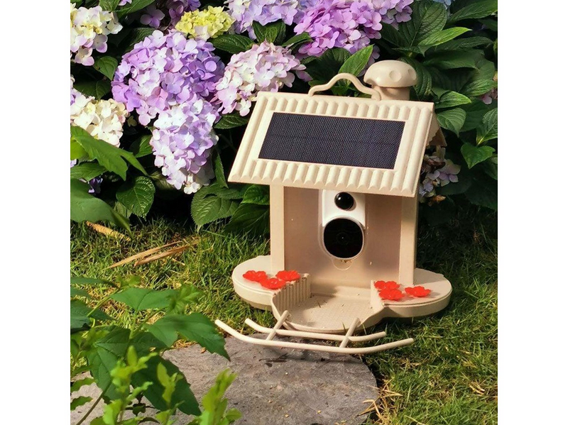 Bullboat HiBirds - WiFi Smart bird feeder 1080HD camera and AI bird recognition