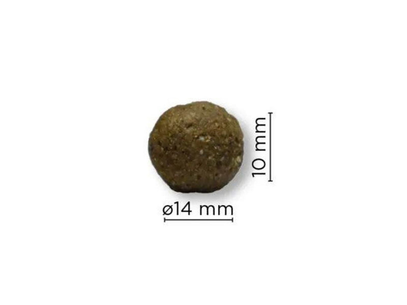 ARION Original Maintenance Medium 12 kg