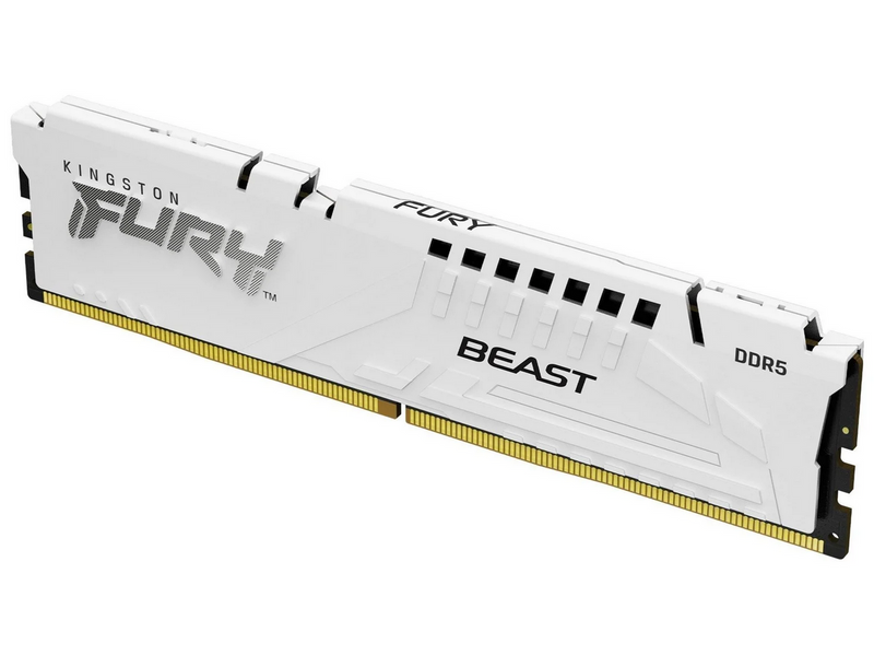 Kingston FURY Beast DDR5-6000 - 16GB - CL36 - Single Channel (1 pcs) - AMD EXPO