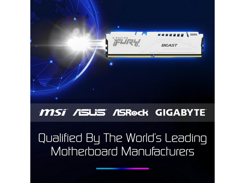 Kingston FURY Beast DDR5-6000 - 16GB - CL36 - Single Channel (1 pcs) - AMD EXPO