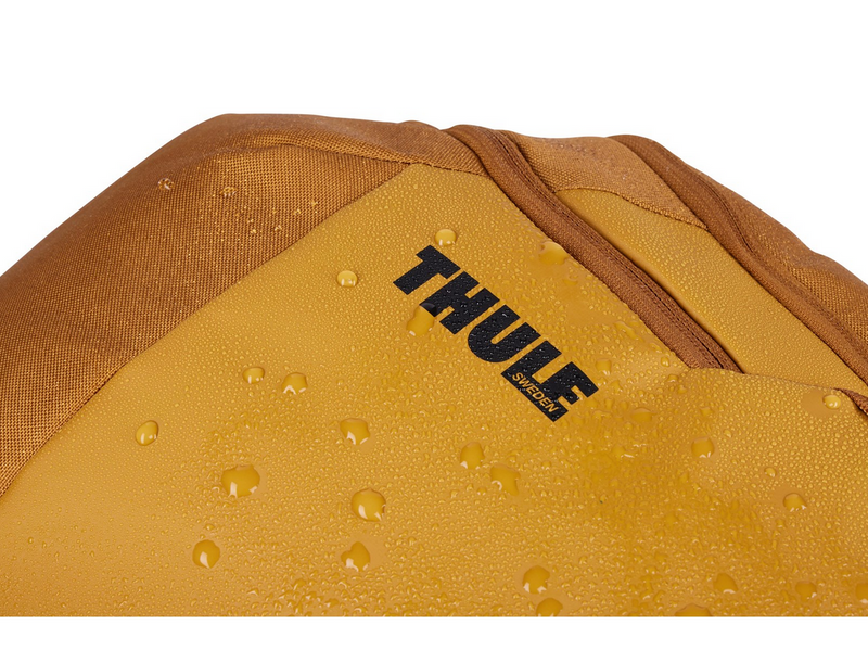 Thule Chasm - 26L | Golden
