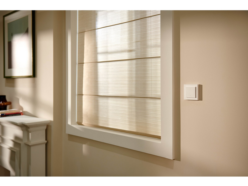 Aqara Light Switch H2 EU (2 Buttons 1 Channel)