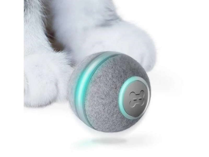 Cheerble BALL M1 - GRAY