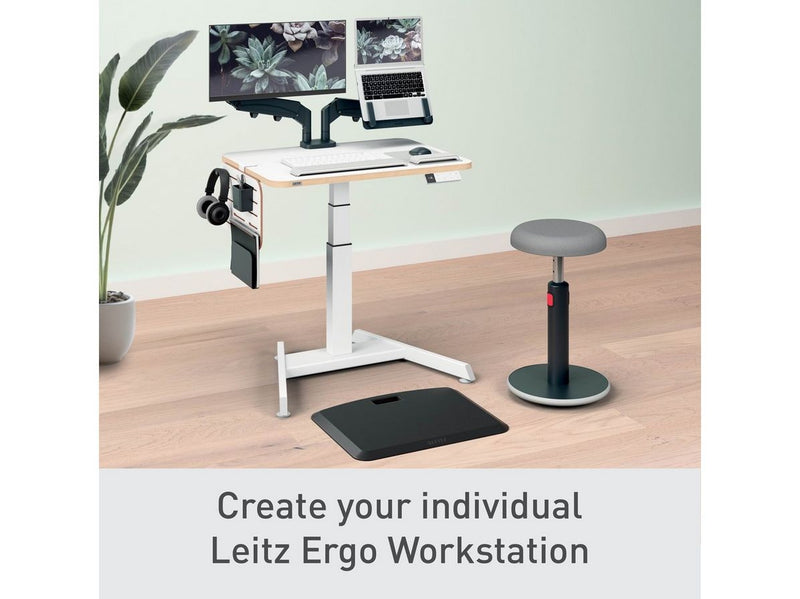 Leitz Ergo Kleiner Pegboard-Schreibtisch-Organizer, 42x25 cm