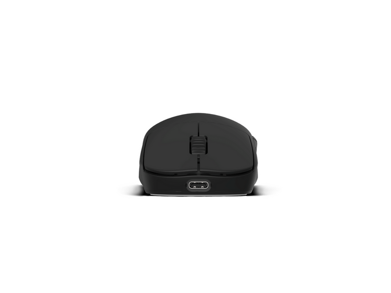 Endgame Gear OP1w 4k (v1) - Black - Gaming Maus (Schwarz)
