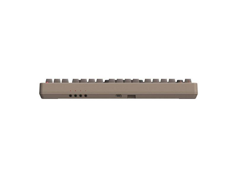 8BitDo Retro Mechanical Keyboard - C64 Edition - ISO - 80% - Englisch (UK) -