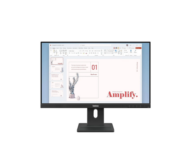 24" Lenovo ThinkVision E24-40 - 1920x1080 (FHD) - 100 Hz - IPS