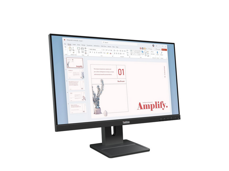 24" Lenovo ThinkVision E24-40 - 1920x1080 (FHD) - 100 Hz - IPS
