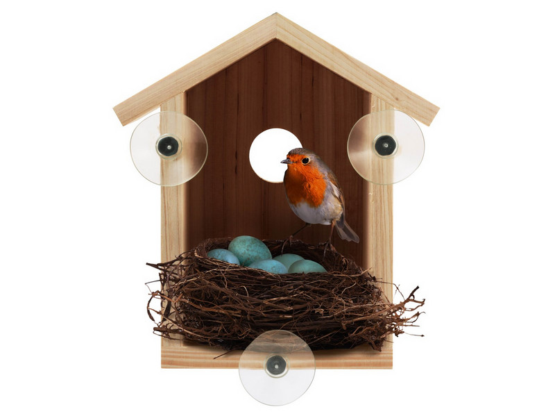 Nature Explorer Window mounted birdhouse