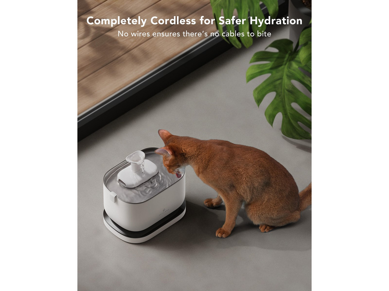 Petlibro Dockstream Battery-Operated Water Fountain White