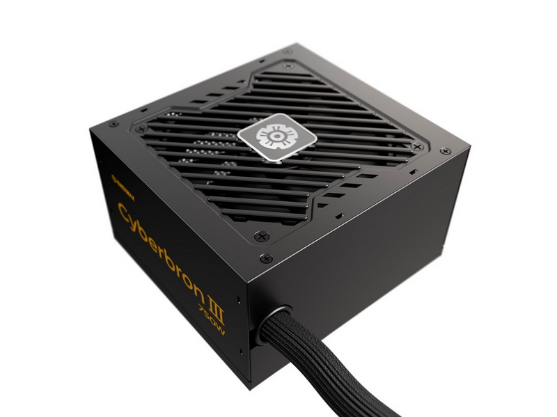 Enermax Cyberbron III 750 Netzteile - 750 Watt - 120 mm - ATX 3.1 - 80 Plus