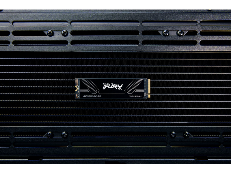 Kingston FURY Renegade G5 SSD - 1TB - PCIe 5.0 - M.2 2280