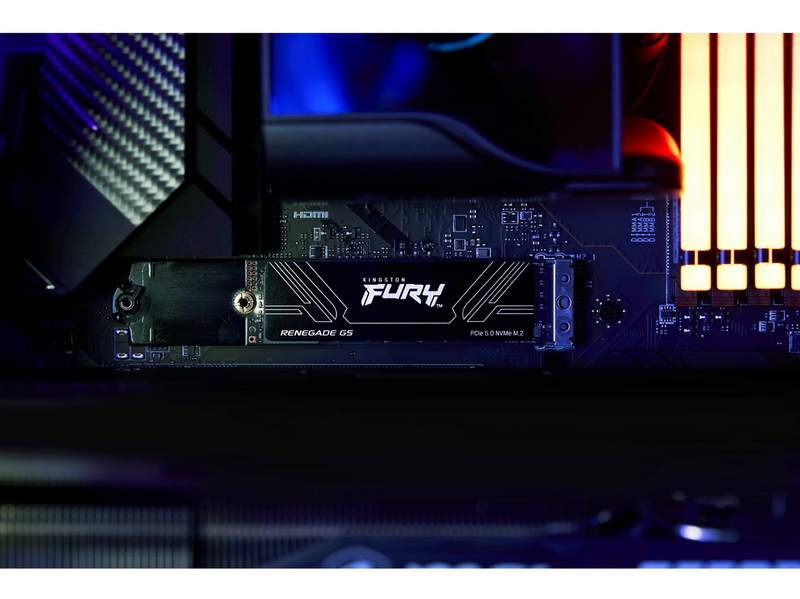 Kingston FURY Renegade G5 SSD - 1TB - PCIe 5.0 - M.2 2280