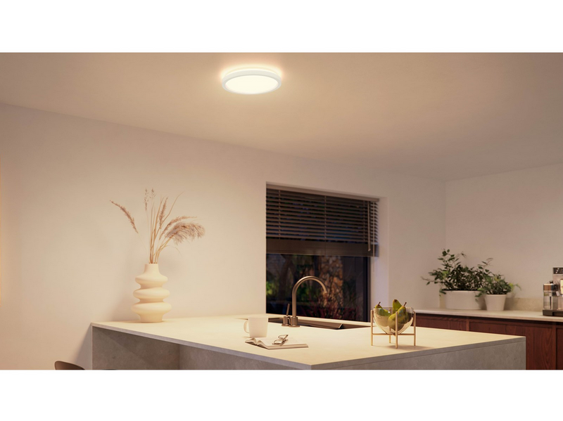 Philips AIO Ceiling Light with Remote (Round White) – 24W Integrated LED Lamp