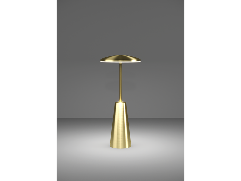 EGLO PICCOLA table lamp brushed brass