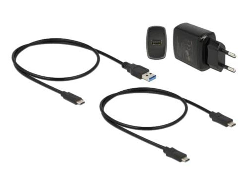 DeLOCK - SSD docking station - M.2 Card - USB-C 3.2 (Gen 2)