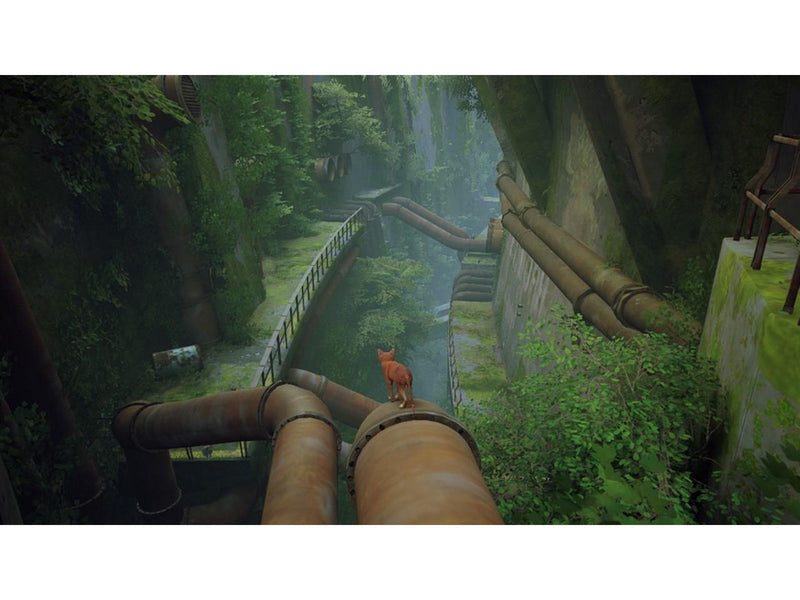 Stray - Nintendo Switch - Abenteuer - PEGI 12