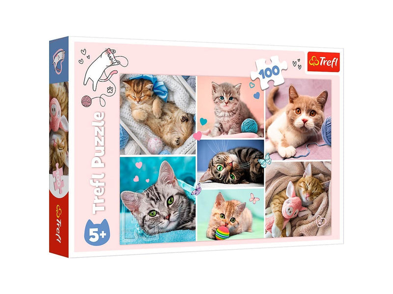 Trefl Puzzle - In the cat world (100 pieces) Boden