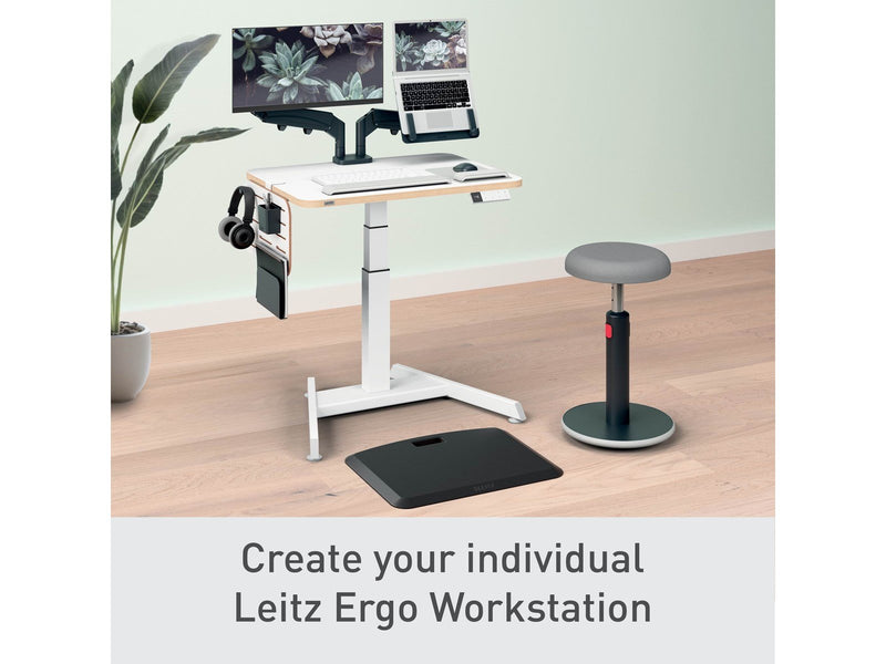 Leitz Ergo Kleiner Pegboard-Schreibtisch-Organizer, 42x25 cm