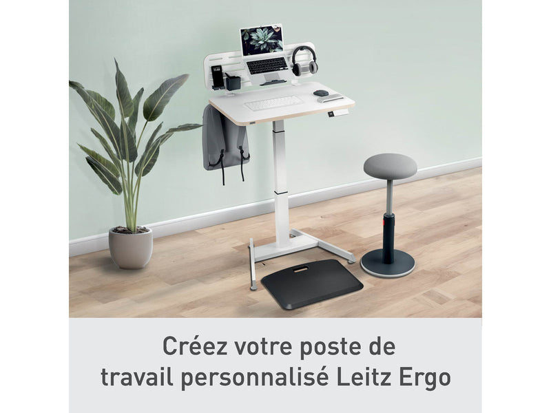 Leitz Ergo Pegboard Schreibtisch-Organizer mit Laptophalter, 80x25 cm