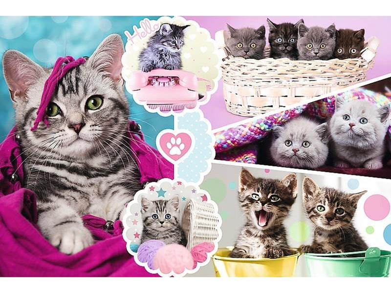 Trefl Puzzle - Lovely kittens (160 pieces) Boden