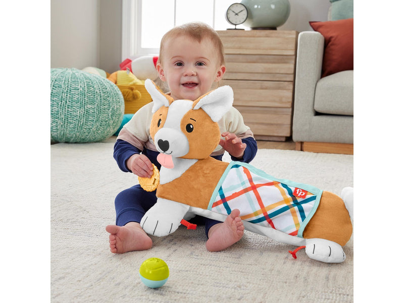 Fisher Price 3-in-1 Puppy Tummy Wedge