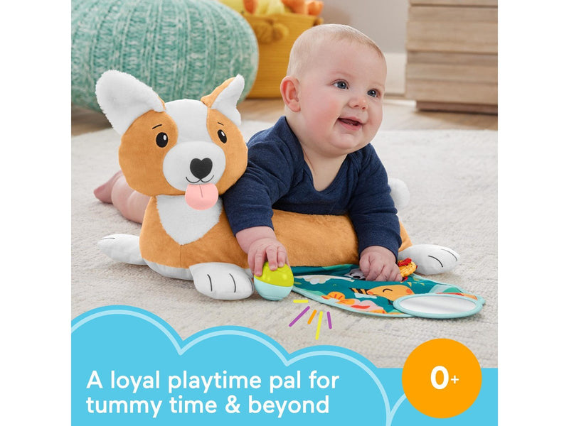 Fisher Price 3-in-1 Puppy Tummy Wedge