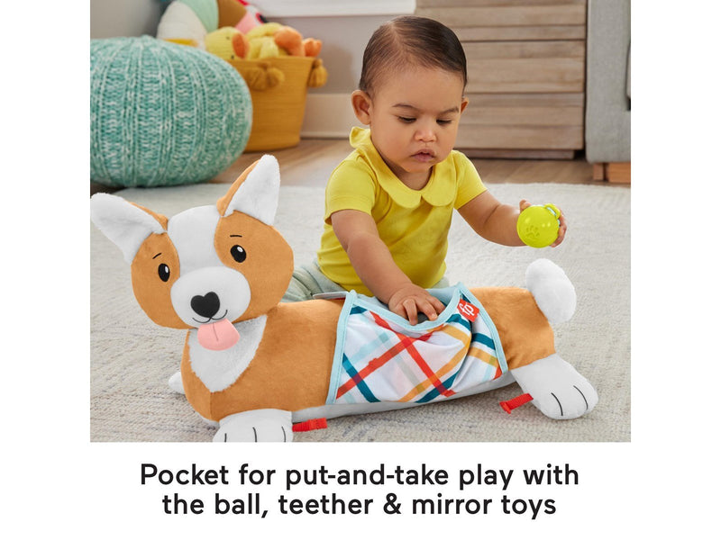 Fisher Price 3-in-1 Puppy Tummy Wedge
