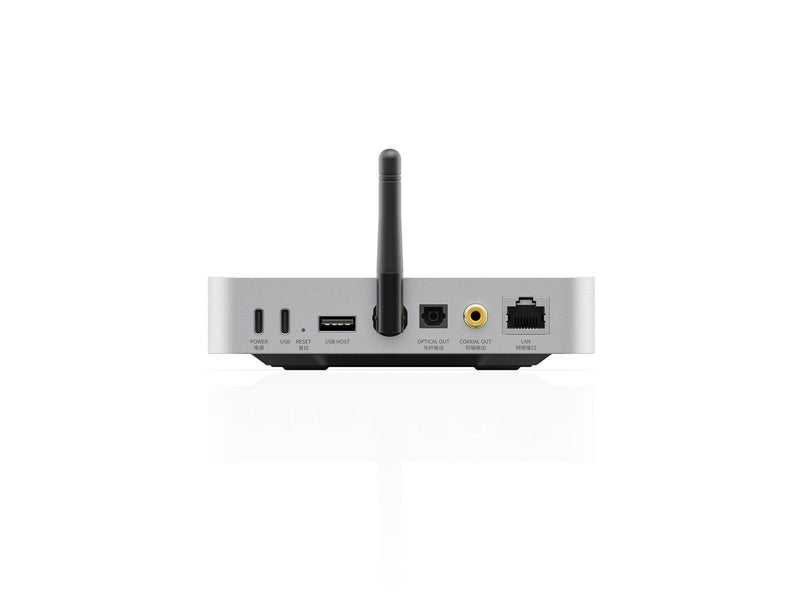 FiiO SR11 - Netzwerk-Audio-Receiver - Silber