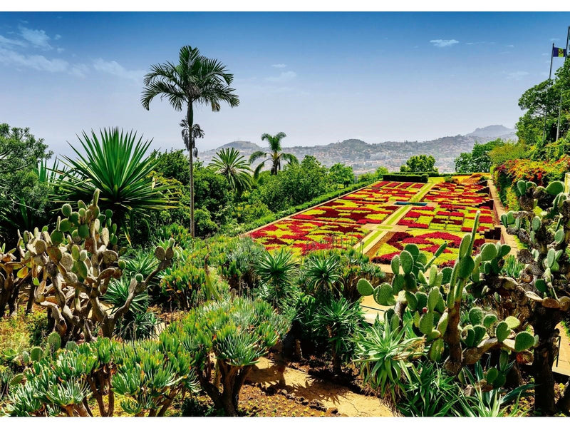 Ravensburger Botanical Garden Madeira 1000p