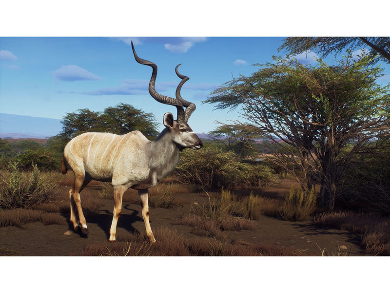 Way of the Hunter (Wild Expeditions) - Microsoft Xbox Series X - Jagd - PEGI 16