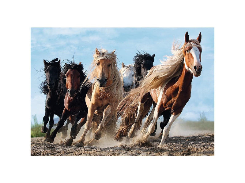 Trefl Puzzle - Galloping horses (1000 pieces) Boden