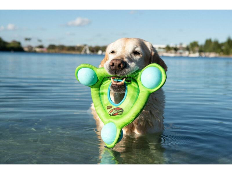 Wham-O Pets Frisbee Floatsbee