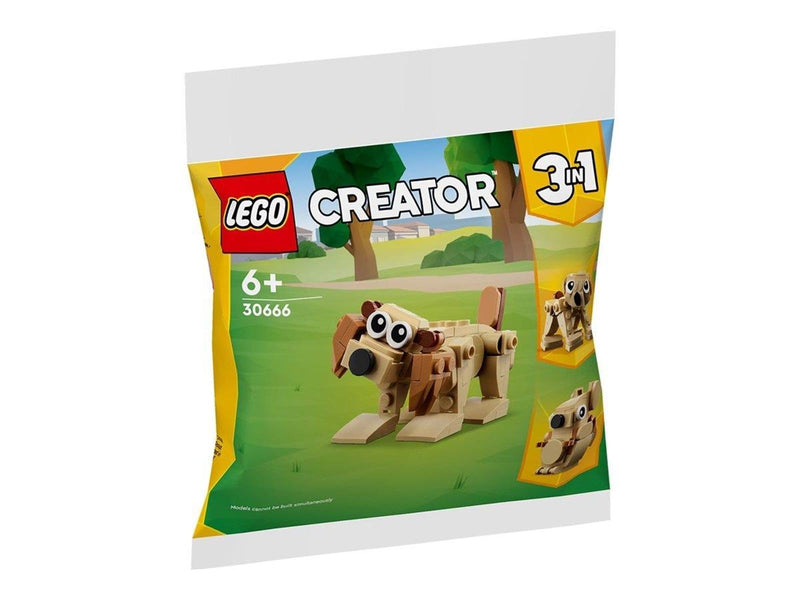 LEGO Creator 30666 Geschenkset mit Tieren