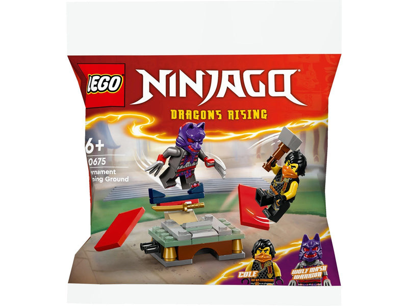 LEGO 30675 Turnier-Trainingsgelände