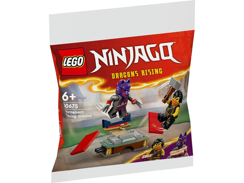 LEGO 30675 Turnier-Trainingsgelände