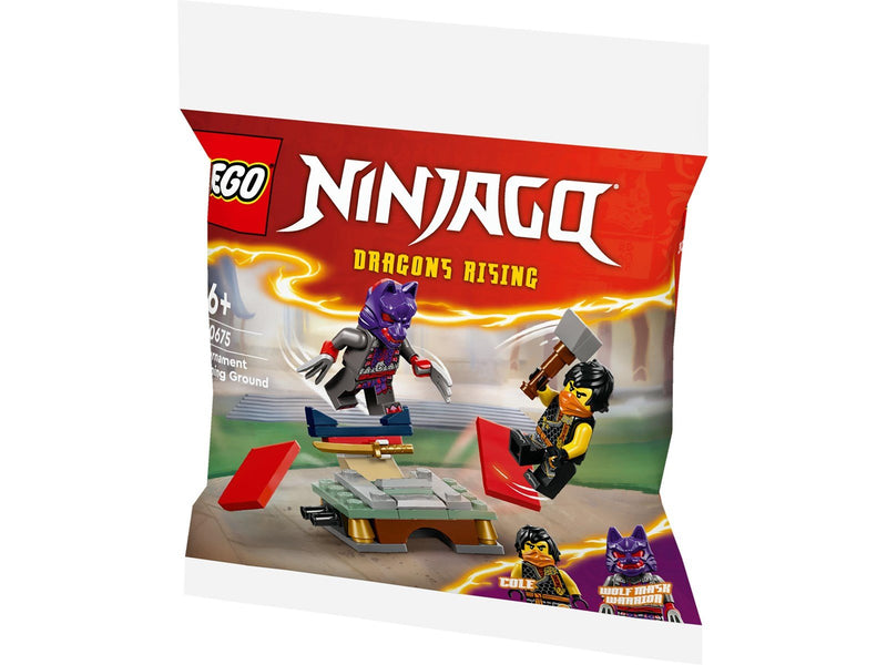 LEGO 30675 Turnier-Trainingsgelände