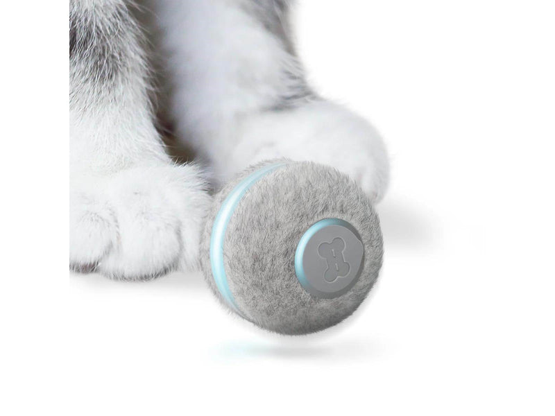 Cheerble Ball M1 Grey