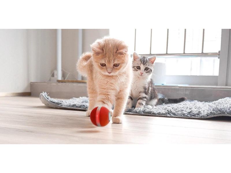 Cheerble Ball M1 Grey
