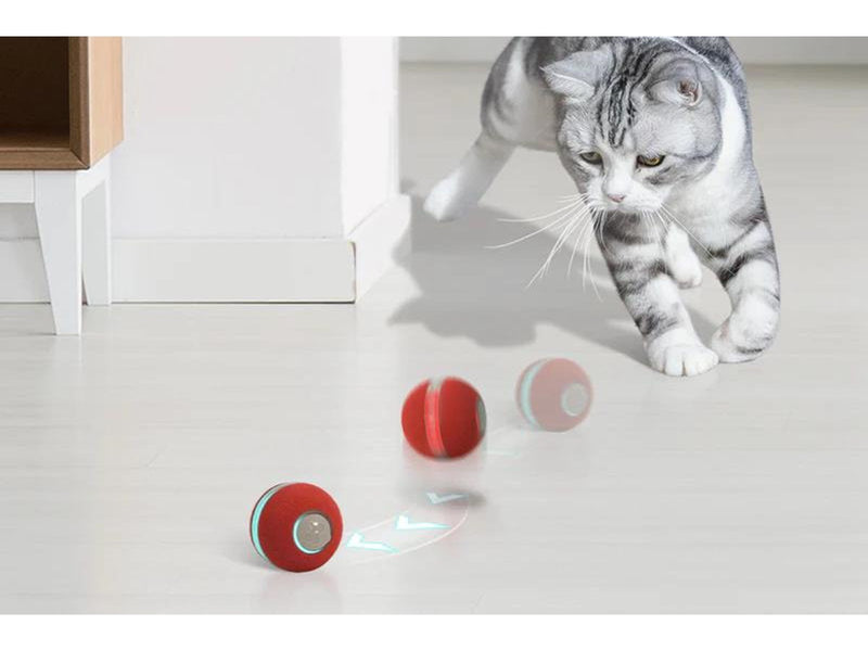 Cheerble Ball M1 Grey