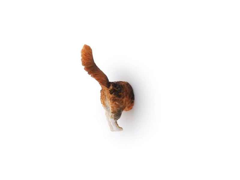 Kikkerland Cat Butt Magnets