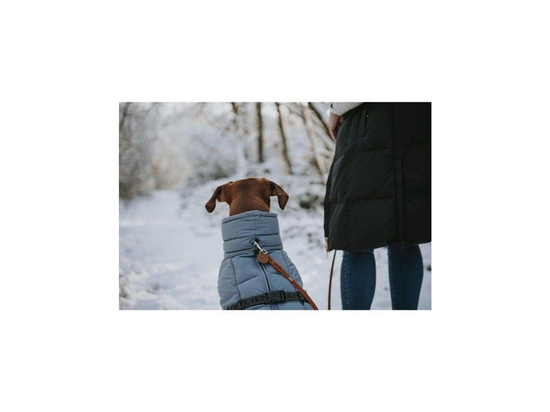 Hunter - Dogcoat Paxson Dachshund 33 blue - (203512)