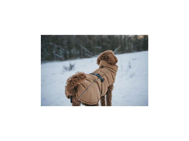 Hunter - Dogcoat Paxson Pug & Fr Bulldog 32 caramel - (203516)
