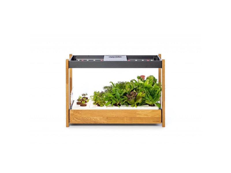 Click & Grow Click and Grow 25 - Black (Salad Greens 54x pack)