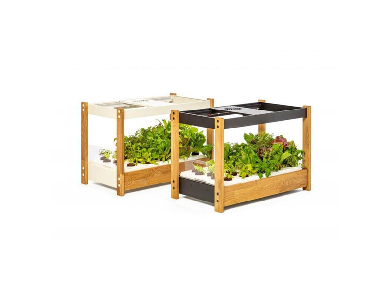Click & Grow Click and Grow 25 - Black (Salad Greens 54x pack)