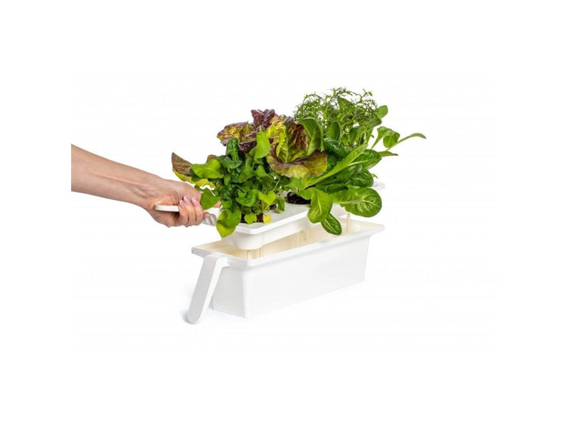 Click & Grow Click and Grow 25 - Black (Salad Greens 54x pack)