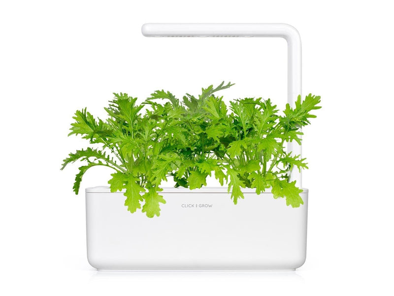 Click & Grow Click and Grow Smart Garden Refill 3-pack - Leaf Mustard Refill